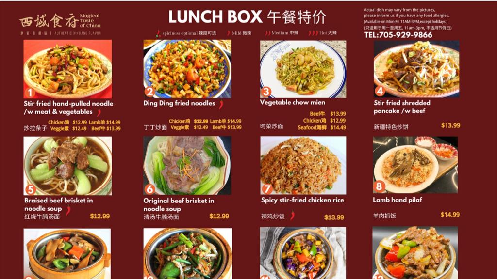magical-taste-of-chinabarriechinese-restaurant-halal-cuisine-1