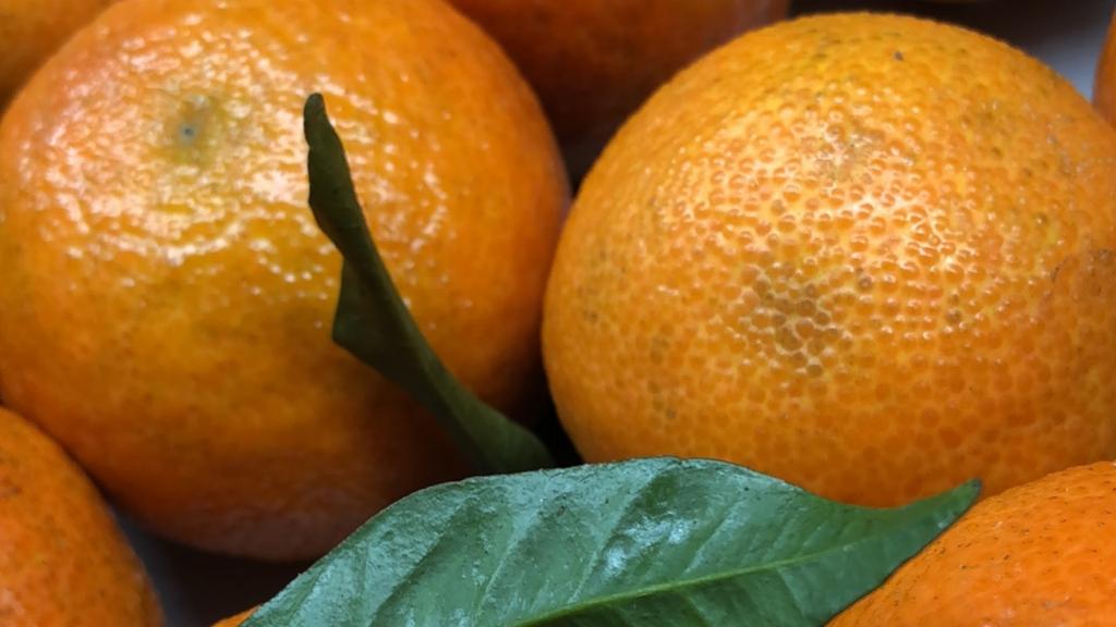 ammars-halal-meats-3