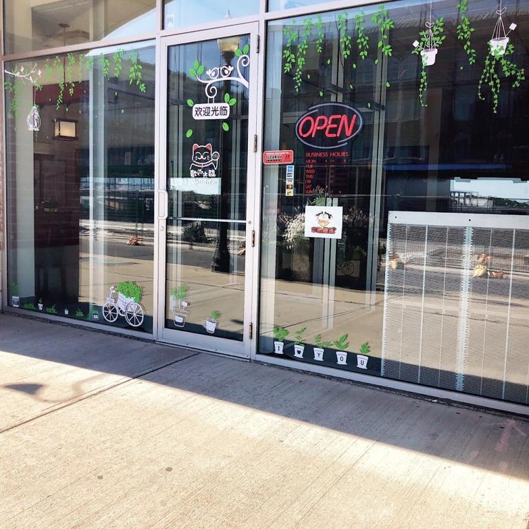 the-chinese-sisters-4