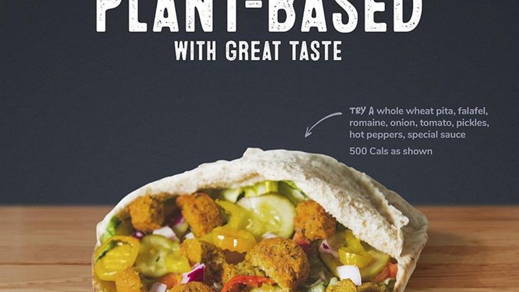 pita-pit-3