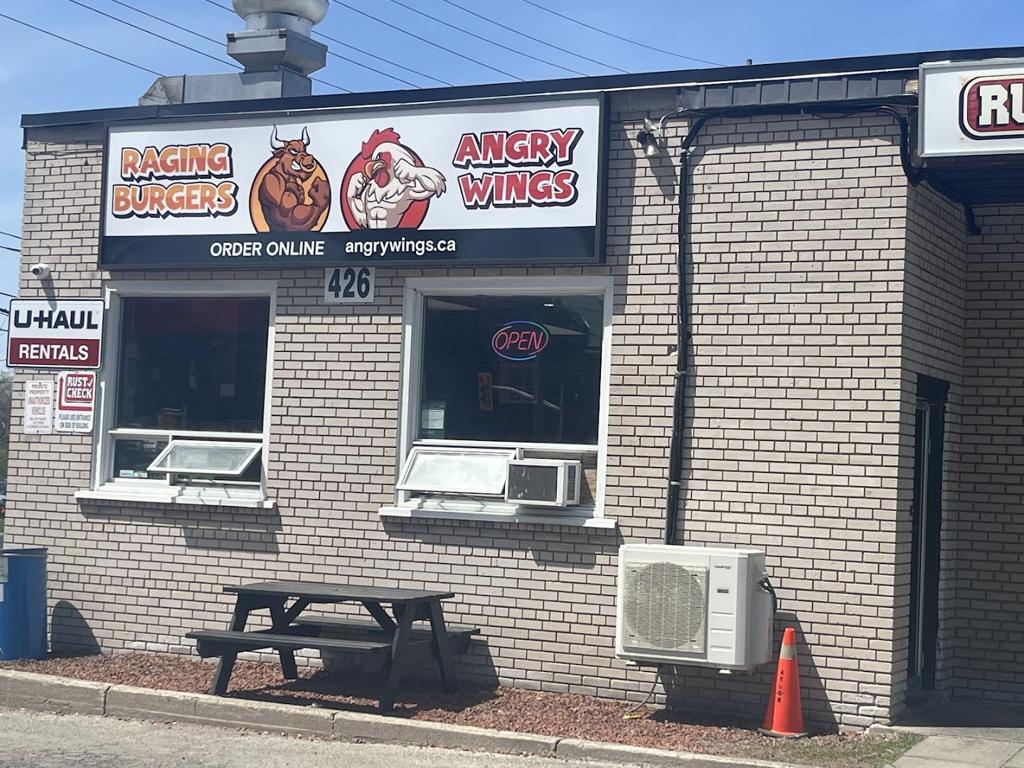 angry-wings-4