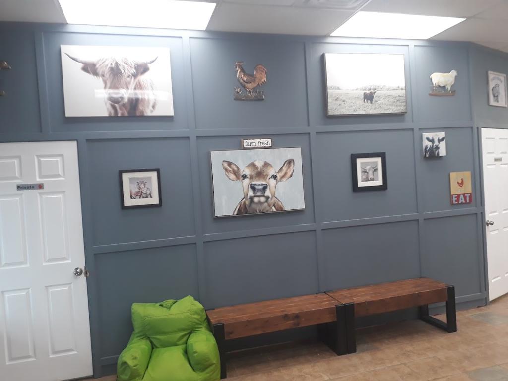 the-butchers-blade-2