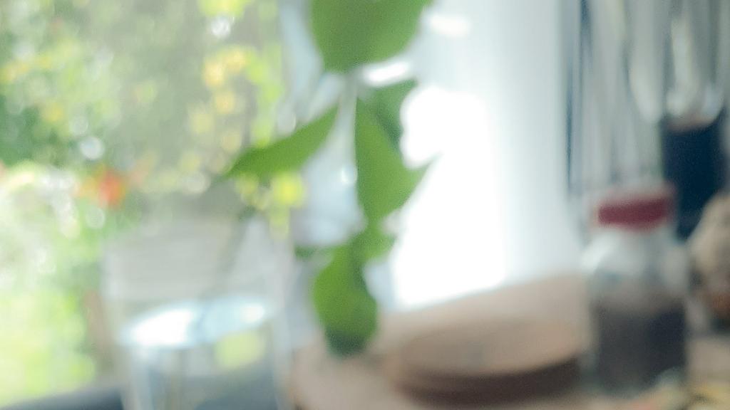 shish-taouk-shawarma-express-2