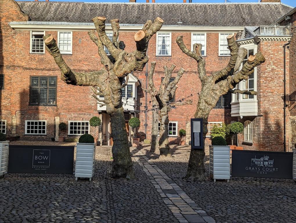 grays-court-hotel-and-the-bow-room-restaurant-7