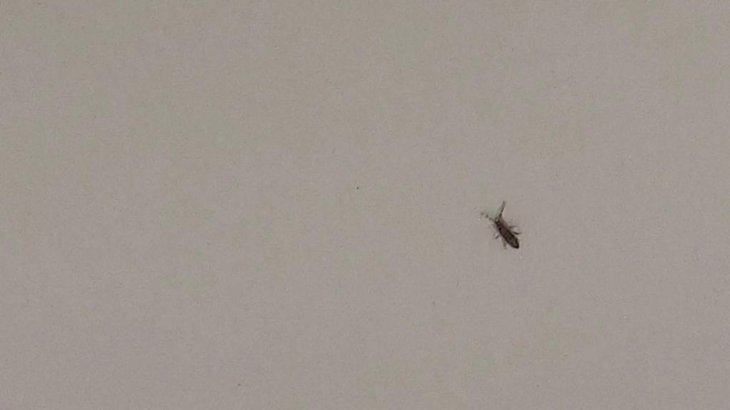 rise-dine-family-restaurant-6