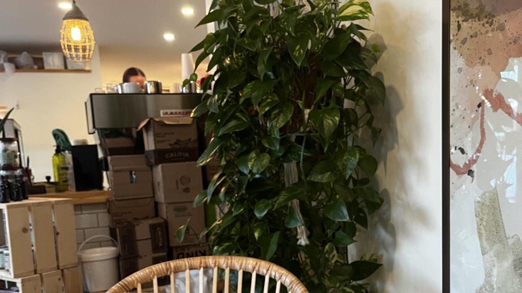 the-kind-cafe-3